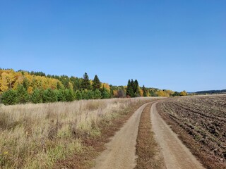 country road in the field against the background of autumn trees and blue sky in a sunny landscape