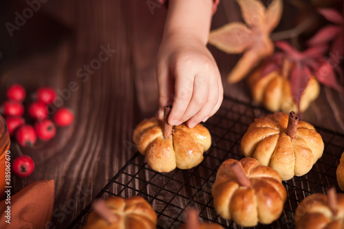 Pumpkin buns on the baking rack. Autumn concept.Baby girl take a one bun.