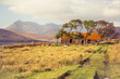 Ruins of an old farm and croft house in the Highlands, Isle of Skye