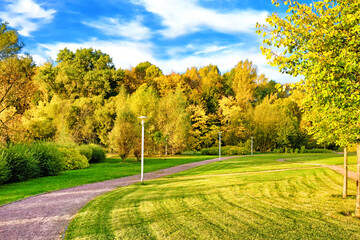 Wall Mural - golden autumn park landscape against blue sky background. Fall season in forest. Wide view of rural landscape. Nature wallpaper