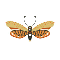 Wall Mural - boho vector art design with bohemian butterfly. isolated insect icon, hand drawn illustration on a w