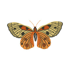 Wall Mural - boho vector art design with bohemian butterfly. isolated insect icon, hand drawn illustration on a w