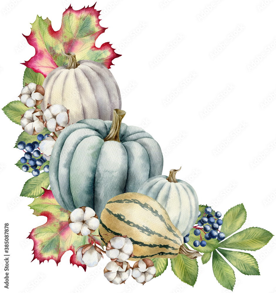Watercolor illustration with pumpkins and leaves isolated on the white ...
