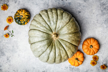 Wall Mural - Pumpkins and flowers on grey concrete background, flat lay