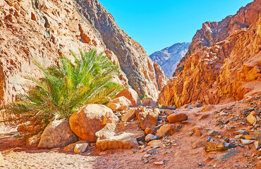 Canvas Print - The rocky landscape of Small Colored canyon, Sinai, Egypt