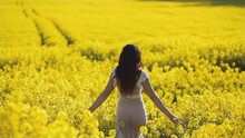 Vibrant Yellow Rapeseed Field With Young Woman In Transparent Dress Walking Forward