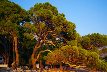 Poster - Beautiful Brela beach at Adriatic Sea in Makarska Riviera, Dalmatia, Croatia