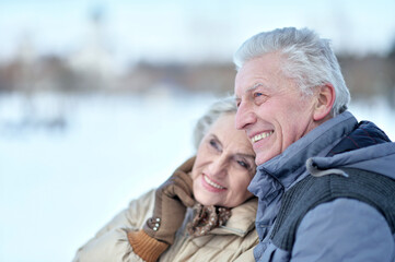 Poster - Happy senior couple hugging at snowy winter park