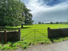 Metal Farm Gate, Leading To An Extensive Green Meadow, With Old Trees, And Sheep, With Heavy Cloud Above Near, Addingham, Ilkley, UK