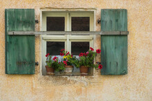 Window With Flowers And Shutters