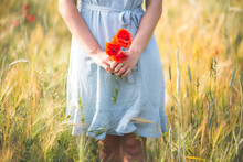 Woman Holding Poppy Flower While Standing In Agricultural Field
