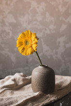 Close-up Of Sunflower In Vase On Table Against Wall At Home