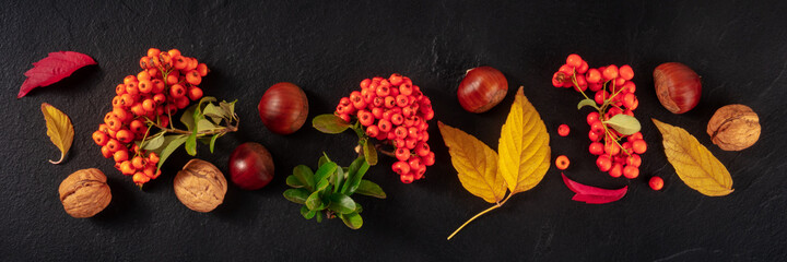 Poster - Autumn panorama with fall leaves and chestnuts, a top flat lay shot on black