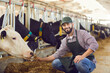 © Studio Romantic - Portrait of a male farmer who is feeding a cow in a cowshed on a farm with straw in his hands.