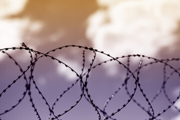 Barbed wire against the sky