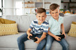© JustLife - Happy brothers playing video games. Young brothers having fun while playing video games in living room