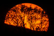 © Olivier - Big Sun telescope 900mm