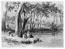 People Angling Under Shade Of Trees On River Shore In Victoria Region, Australia. Ancient Grey Tone Etching Style Art By Girardet, Le Tour Du Monde, Paris, 1861