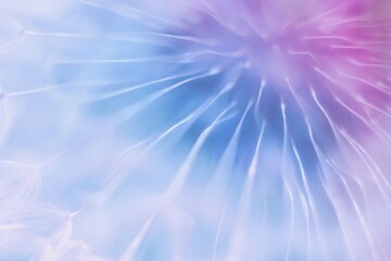 Wall Mural - Soft abstract gradient background , abstract dandelion