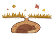 Frog Hibernation Autumn Illustration