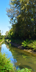 view of a countryside landscape with river and wild nature