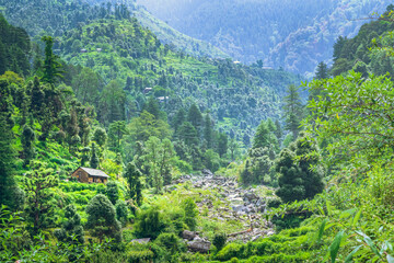 Wall Mural - View enroute to Prashar Lake trekk trail. It is located at a height of 2730 m above sea level surrounded by confierous & alpine meadow in lesser himalayas  near Mandi, Himachal Pradesh, India.