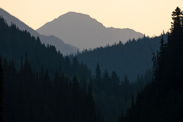 Sticker - Mountain silhouettes and evergreen trees on background of morning sky