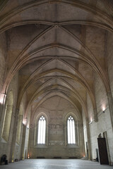 Wall Mural - Voûtes du palais des Papes à Avignon, France