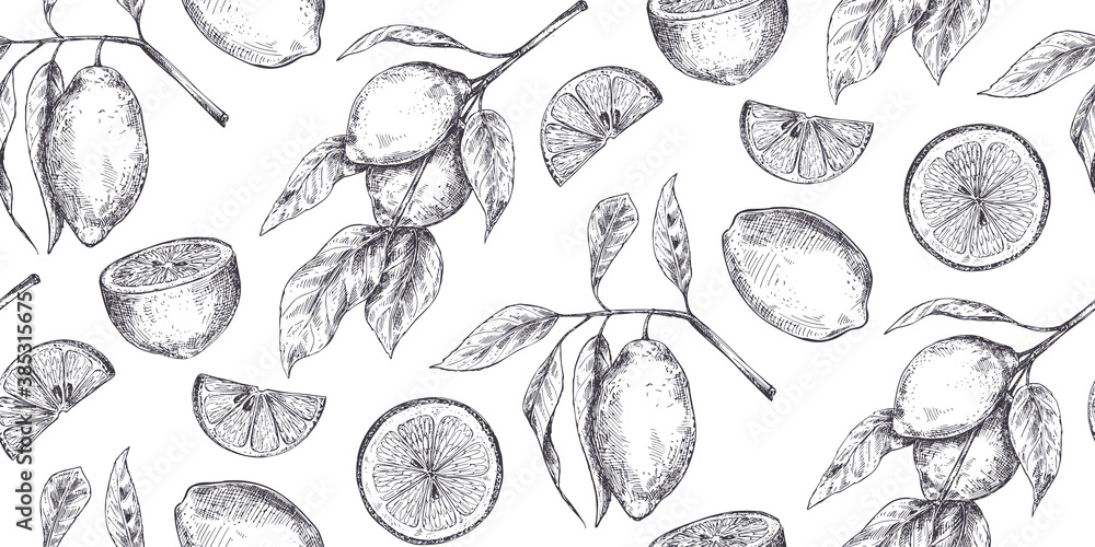 Vector seamless pattern with hand drawn fresh lemon tree branches ...