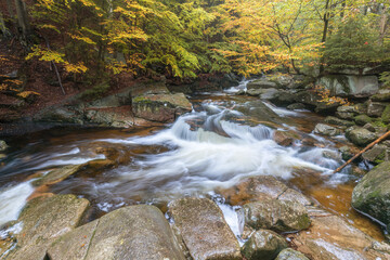 Wall Mural - Mountain waterfall river stream view. Forest waterfall in mountains. Small stream in autumn season, colorful landscape. Beautiful rain forest.
River creek in deep wood.