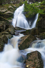 Wall Mural - Mountain waterfall river stream view. Forest waterfall in mountains. Small stream in autumn season, colorful landscape. Beautiful rain forest.
River creek in deep wood.