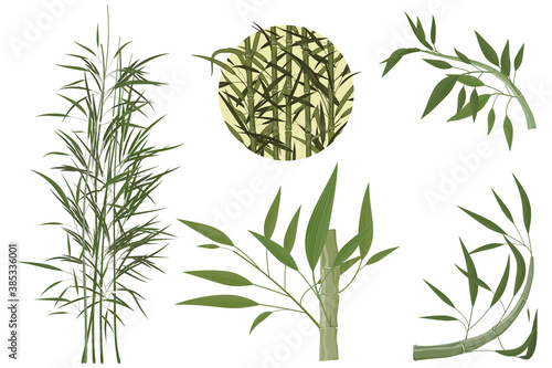 Cuadros en Lienzo Set of bamboo items, the trees with foliage, angular frame, round medallion with a bamboo stem