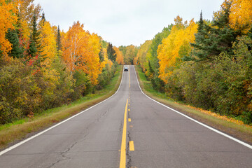 Wall Mural - highway in northern minnesota lined with trees in autumn color