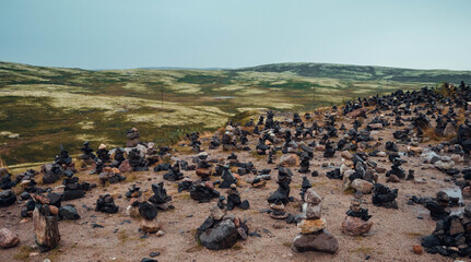 flock of sheep in the mountains