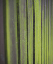 Green Wooden Fence