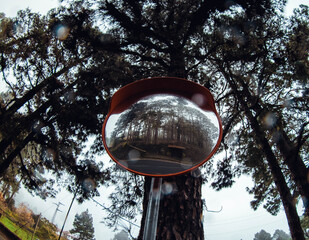 lamp in the park