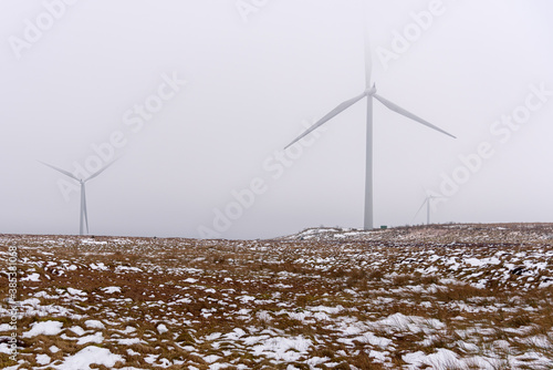 Fotografía Wind turbines in a snowy field shrouded in cold fog on a winter day