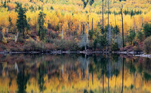 Fall Colour At The Green Lakes, Thunder Bay District, Norther Ontario, Canada