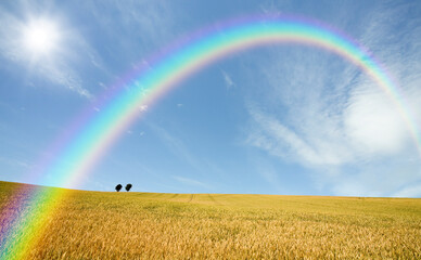 麦畑と木と雲と虹と太陽