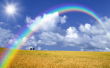  麦畑と木と雲と虹と太陽