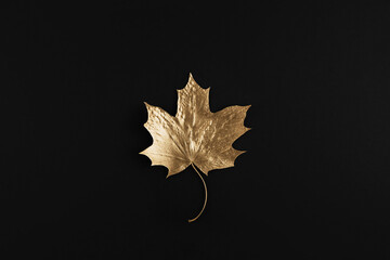 shiny golden maple leaf on black background. flat lay, top view. minimal autumn composition concept.