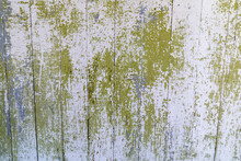 White Wood Planks With Green Peeling Paint Texture, Useful For Backgrounds