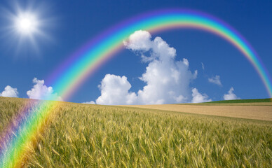  麦畑と雲と太陽と虹