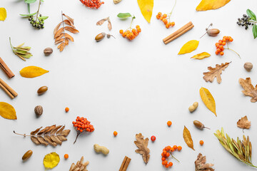 Beautiful autumn composition on white background