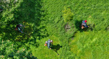 Fototapeta Konie - team of worker mow the grass with brushcutters, top view