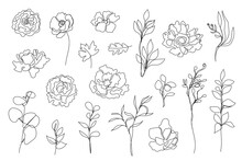 Vector Set Of Hand Drawn, Single Continuous Line Flowers, Leaves. Art Floral Elements. Use For T-shirt Prints, Logos, Cosmetics