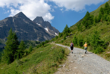 Canvas Print - Val Viola 3 - Valtellina