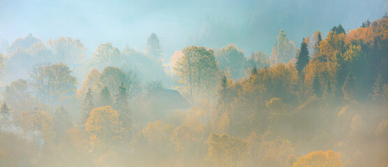 Wall Mural - panorama of autumn mountains, yellow trees on a mountain hills. morning fog in valley between mounta