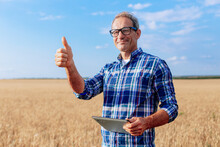 Portrait Of Farmer Standing In A Wheat Field With A Tablet Looking At The Camera With Thumb Up