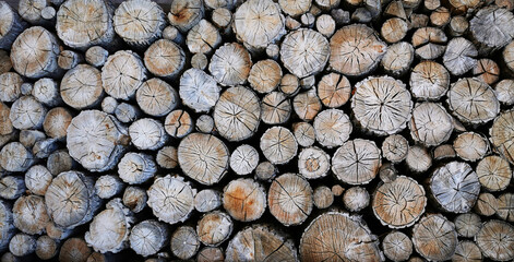 Poster - old firewood texture